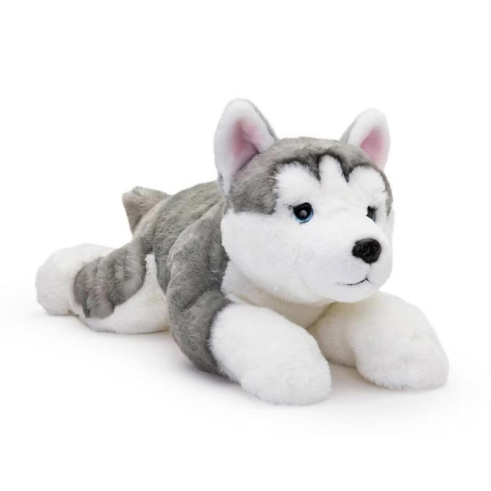 FAO adopt a husky stuffy